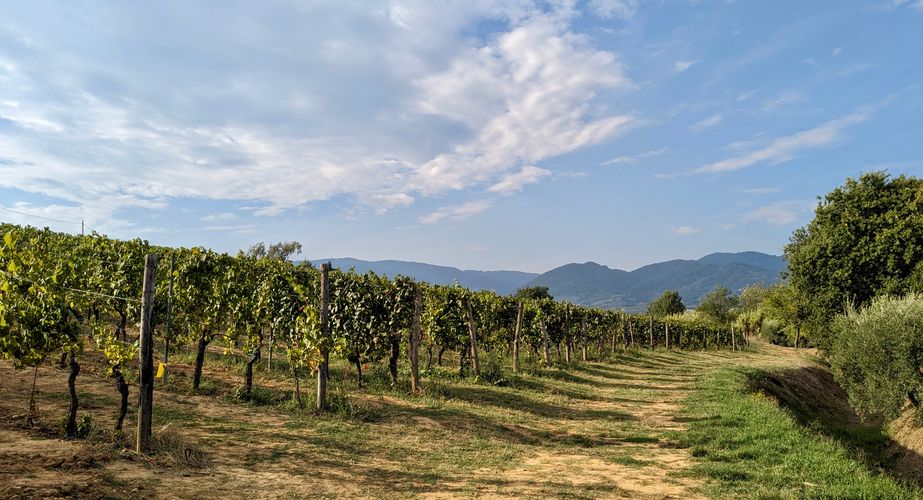 Landschappen van Toscane